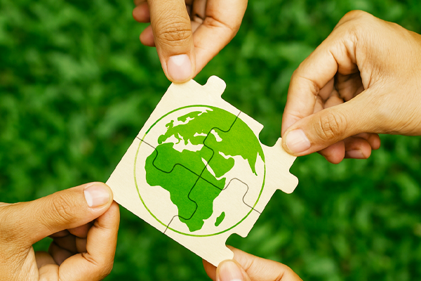 Eco